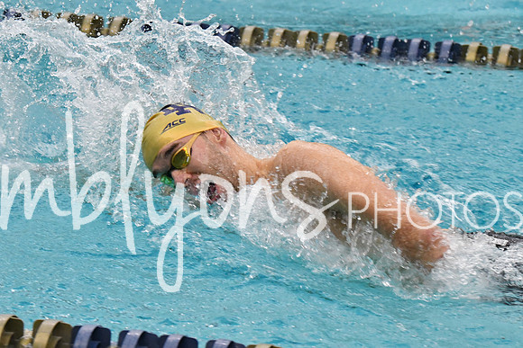 DSC_4208-1_edited-1