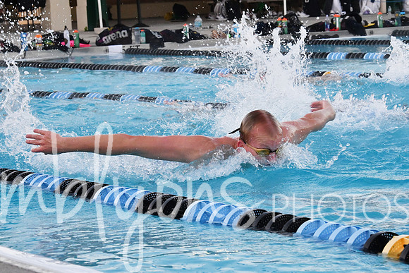 DSC_5972-1_edited-1