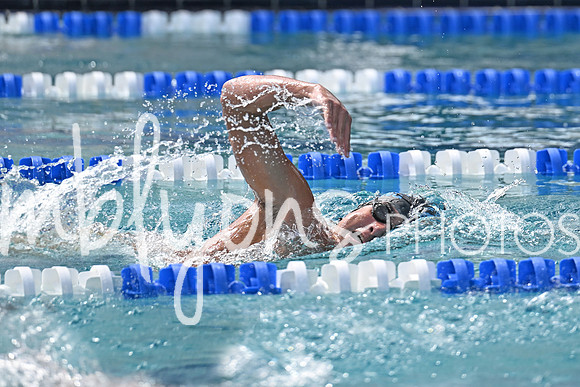 DSC_2120-1_edited-1