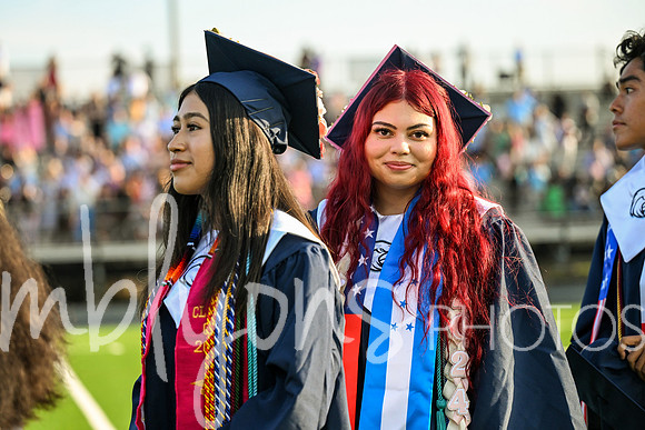 DSC_2115_edited-1