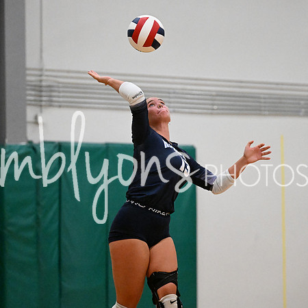 DSC_4740_edited-1
