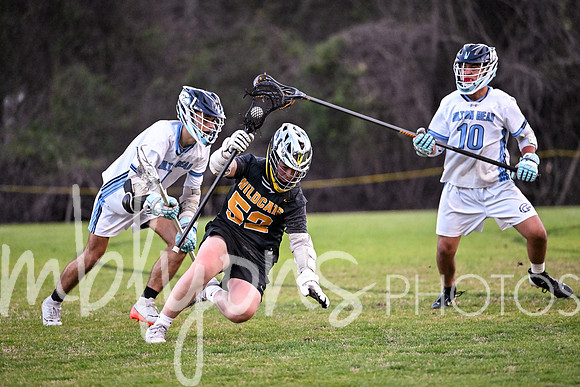 DSC_2986_edited-1