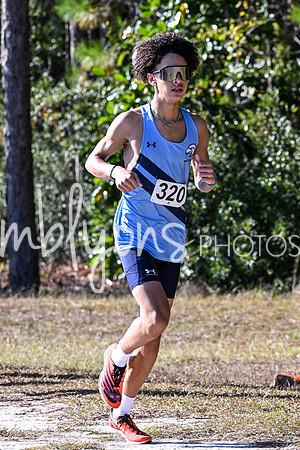 DSC_7385_edited-1