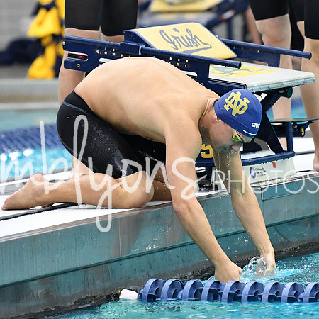 DSC_2773_edited-1