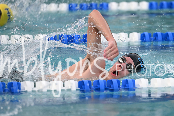 DSC_2461_edited-1