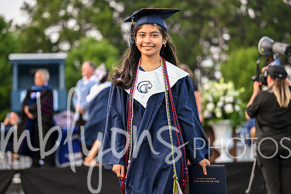 DSC_2233-1_edited-1