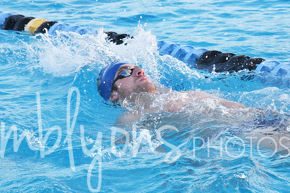 DSC_6055-1_edited-1