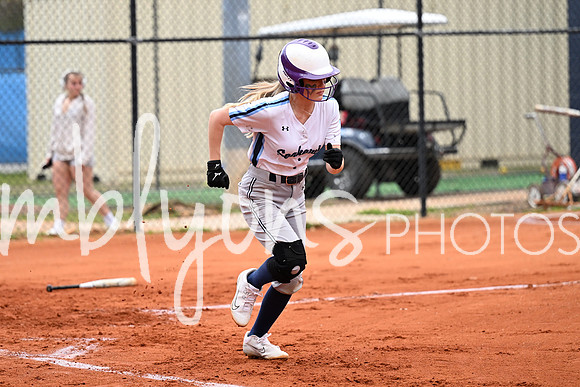 DSC_5501_edited-1