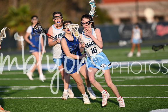 DSC_2390_edited-1