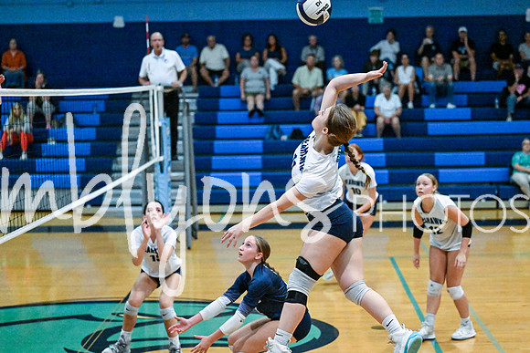 DSC_3496_edited-1