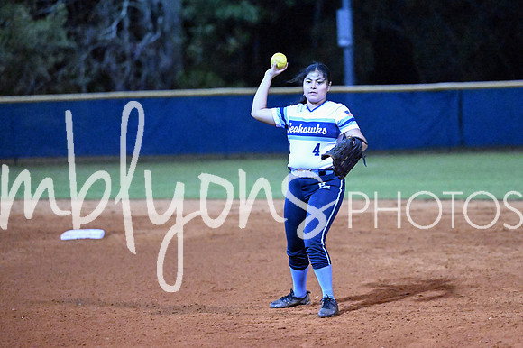 DSC_4376-1_edited-1