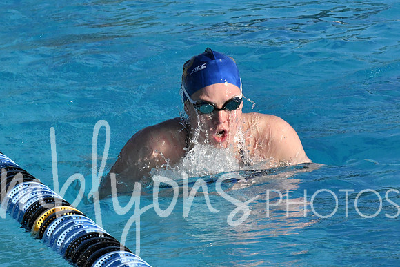 DSC_6589_edited-1