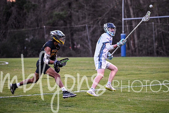 DSC_2993-11_edited-1