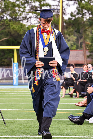 DSC_1162-1_edited-1