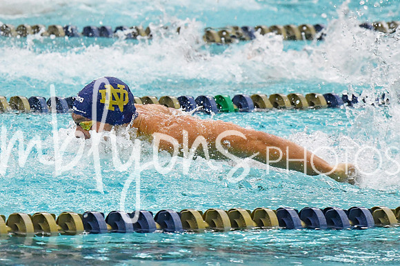 DSC_3299-1_edited-1