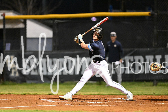 DSC_2595_edited-1