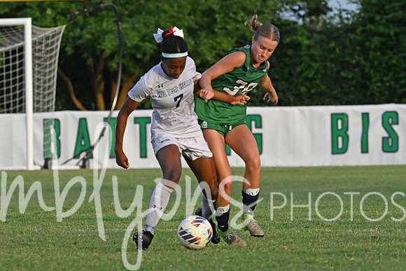 DSC_6583-12_edited-1