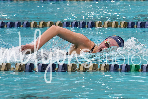 DSC_3962-1_edited-1