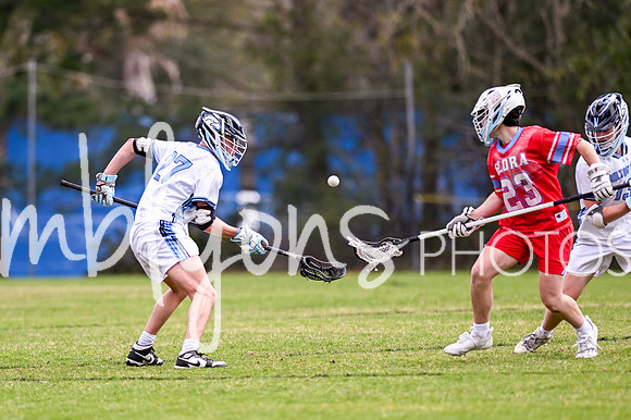 DSC_8745_edited-1