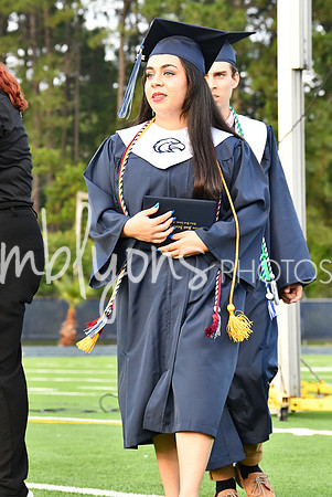 DSC_1181_edited-1