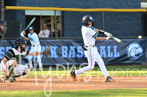 DSC_9251_edited-1