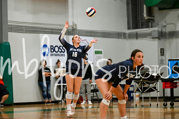 DSC_4707_edited-1