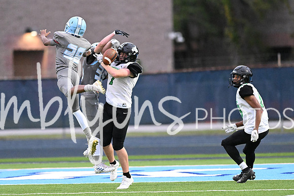 DSC_0719_edited-1