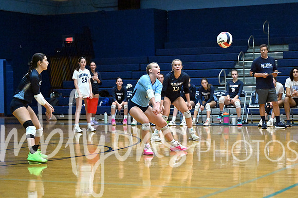 DSC_9595-1_edited-1