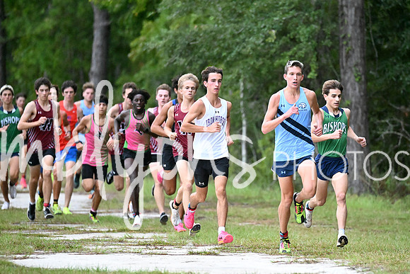 DSC_9727_edited-1