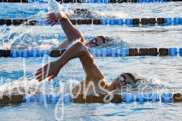 DSC_6071-1_edited-1