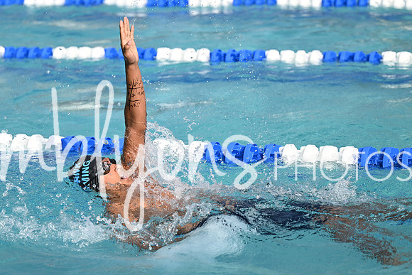 DSC_1564_edited-1