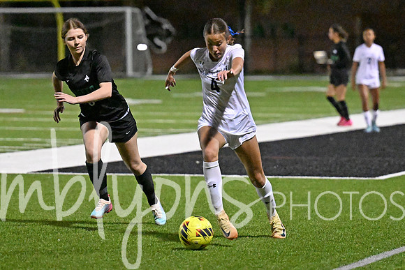 DSC_7785-1_edited-1
