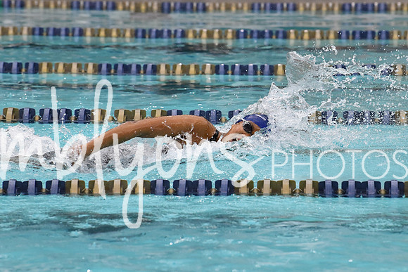 DSC_4612-1_edited-1