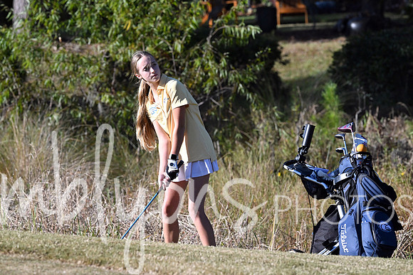 DSC_6622-1_edited-1