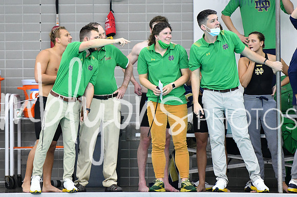 DSC_2895_edited-1