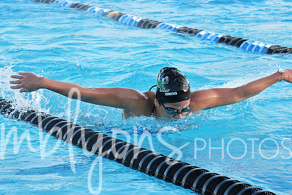 DSC_6198-1_edited-1