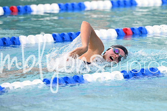 DSC_2219_edited-1