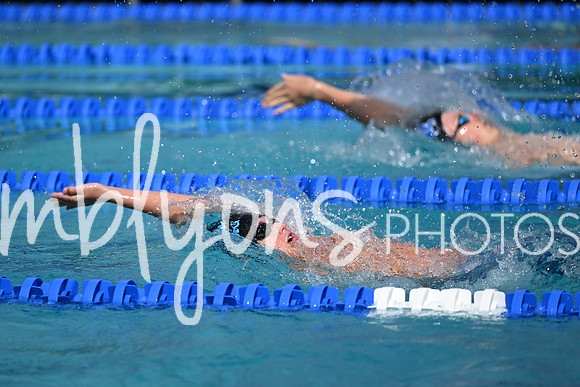 DSC_2257_edited-1