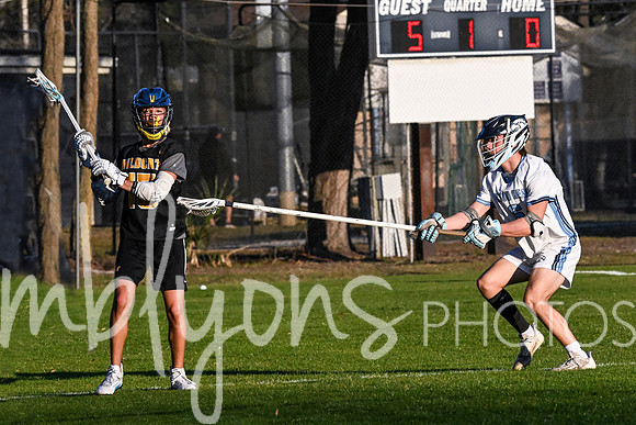 DSC_2902-11_edited-1