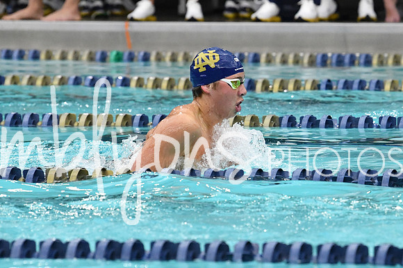 DSC_3135-1_edited-1