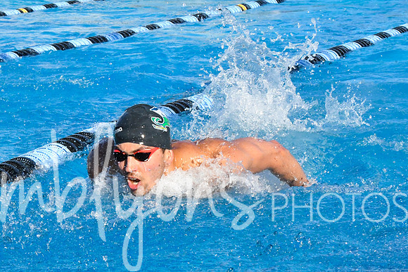 DSC_5263-1_edited-1