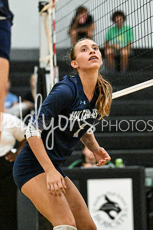 DSC_4743_edited-1