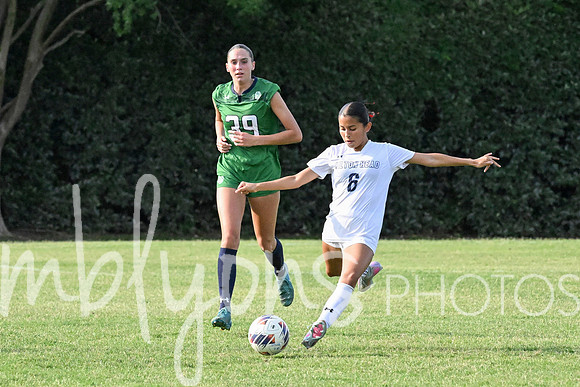 DSC_6232-1_edited-1