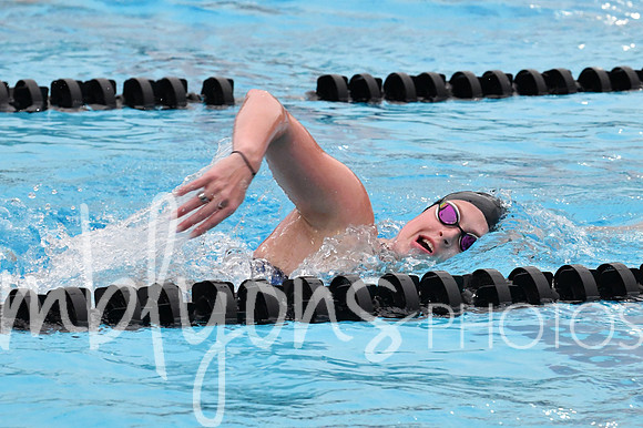 DSC_4489-1_edited-1