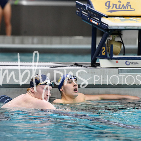 DSC_3475-1_edited-1