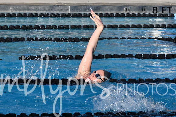 DSC_6505-1_edited-1