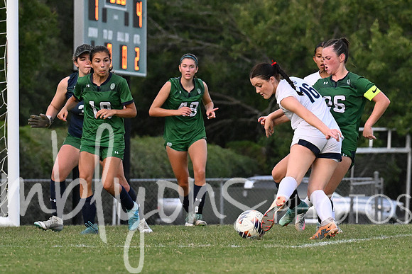 DSC_6565-11_edited-1