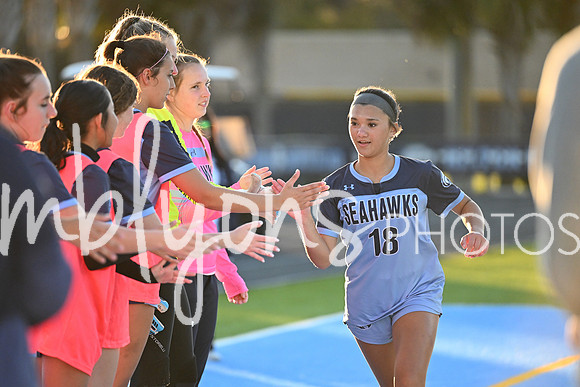 DSC_6106_edited-1