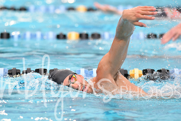 DSC_4536_edited-1