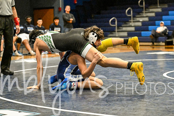 DSC_0773-1_edited-1